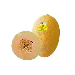 Honey Kiss Melon
