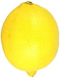 Organic Lisbon Lemon