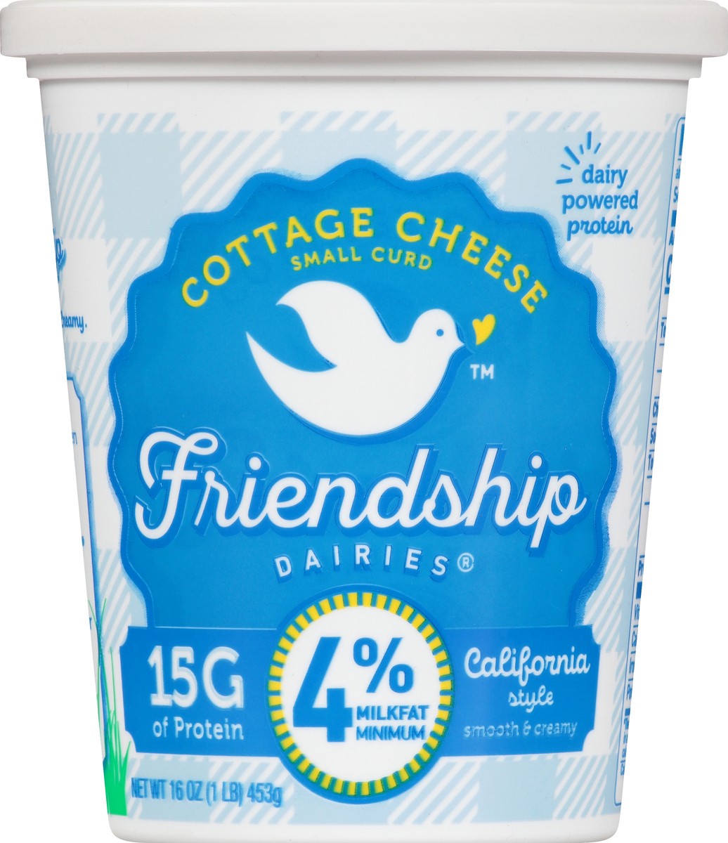 slide 6 of 9, Friendship Dairies 4% Milkfat California Style Small Curd Cottage Cheese 16 oz, 16 oz