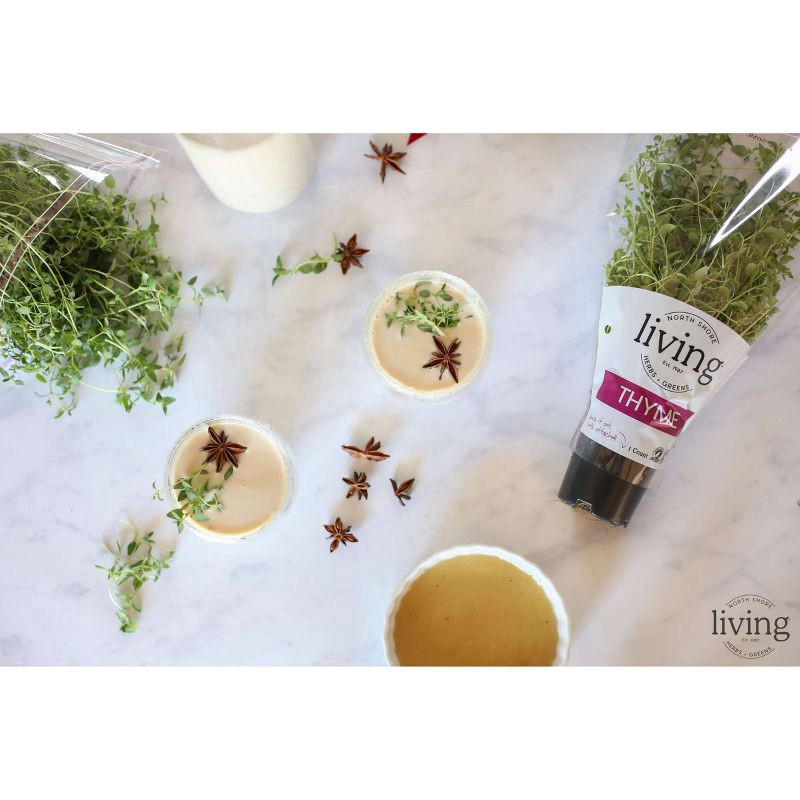 slide 3 of 3, North Shore Living Thyme, 1 ct