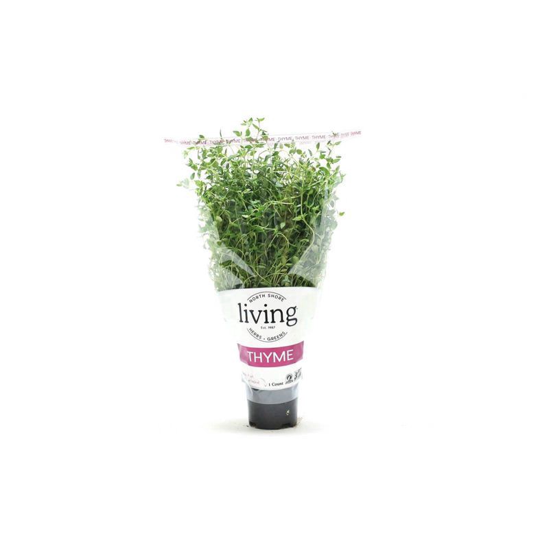 slide 1 of 3, North Shore Living Thyme, 1 ct