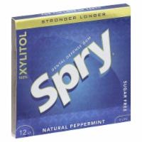 slide 1 of 1, Spry Chewing Gum Stronger Longer Peppermint, 55 ct