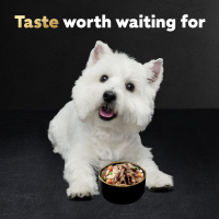 slide 18 of 29, Cesar Warm Bowls Slow Cooked Chicken & Beef Entree Canine Cuisine 2.7 oz, 2.7 oz