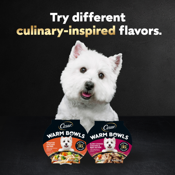 slide 4 of 29, Cesar Warm Bowls Slow Cooked Chicken & Beef Entree Canine Cuisine 2.7 oz, 2.7 oz