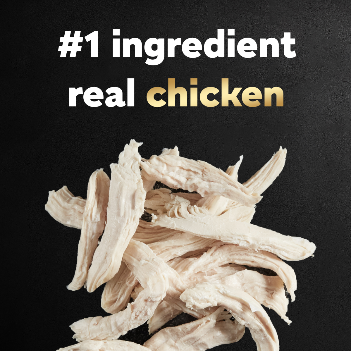 slide 19 of 29, Cesar Warm Bowls Slow Cooked Chicken & Beef Entree Canine Cuisine 2.7 oz, 2.7 oz