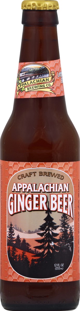 slide 2 of 11, Appalachian Brewing Co. Ginger Beer - 12 oz, 12 oz
