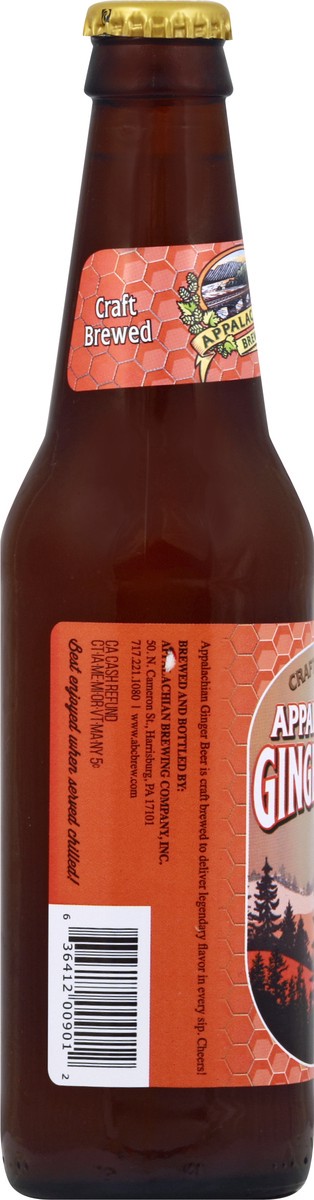slide 3 of 11, Appalachian Brewing Co. Ginger Beer - 12 oz, 12 oz