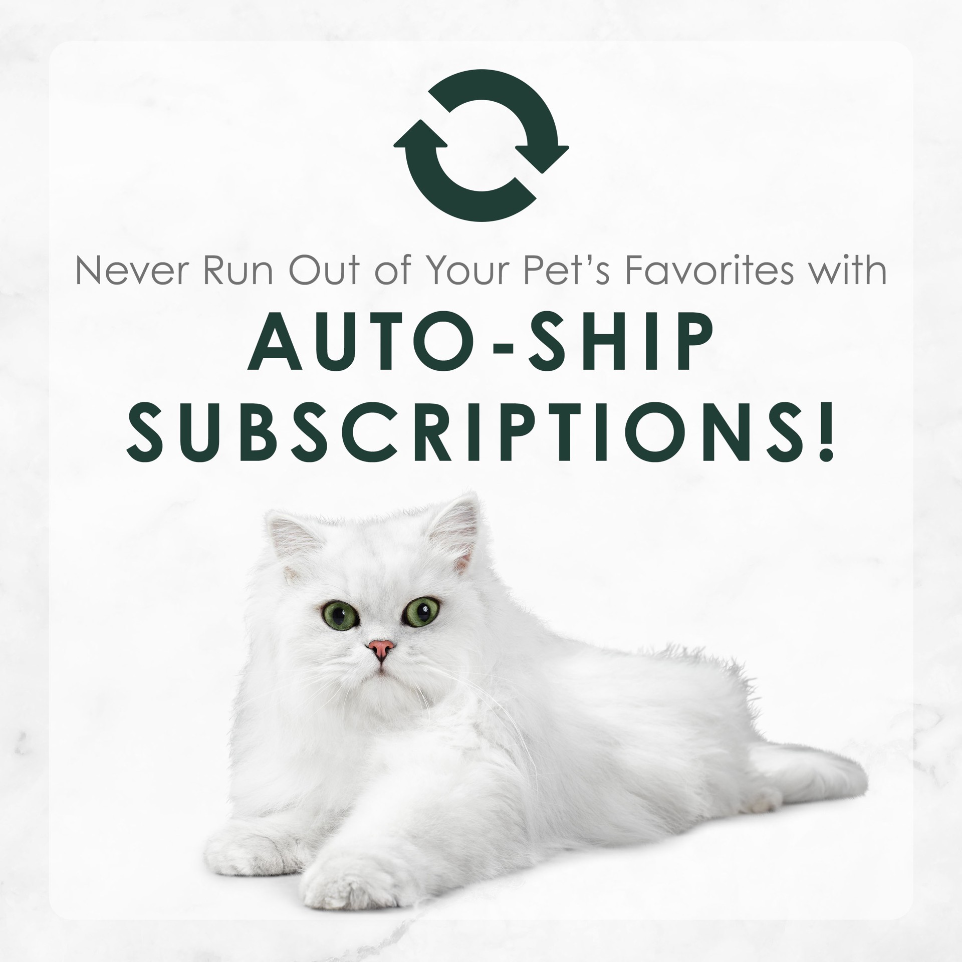 slide 6 of 9, Fancy Feast Purina Fancy Feast High Protein Senior Wet Cat Food Variety Pack, Senior 7+ Chicken, Beef & Tuna Feasts - (12) 3 oz. Cans, 12 ct