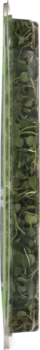 slide 2 of 12, AeroFarms Micro Arugula 2 oz, 1 ct