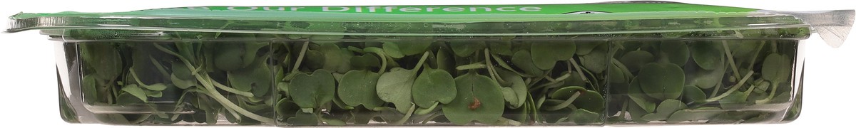 slide 12 of 12, AeroFarms Micro Arugula 2 oz, 1 ct