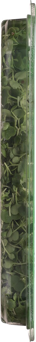 slide 7 of 12, AeroFarms Micro Arugula 2 oz, 1 ct