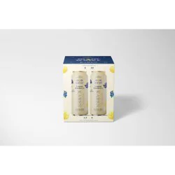 Mom Water Lemon Blueberry - Karen - 4pk/12 fl oz Cans