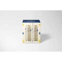 Mom Water Lemon Blueberry - Karen - 4pk/12 fl oz Cans