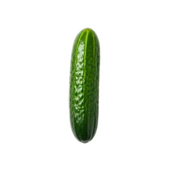 Seedless Cucumbers