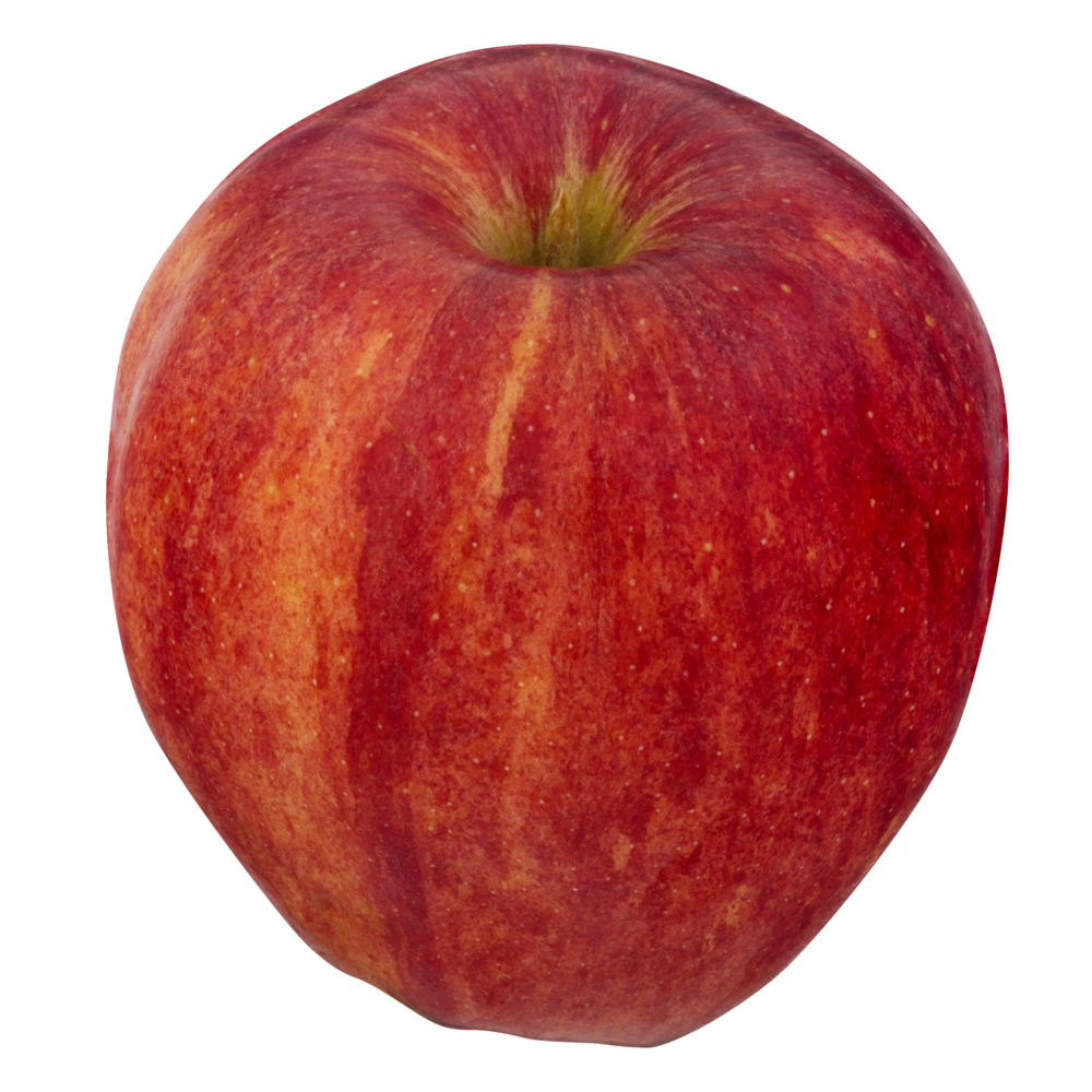 slide 1 of 1, Premium Gala Apples, 1 ct