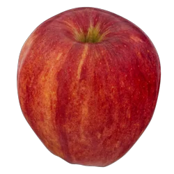 Premium Gala Apples