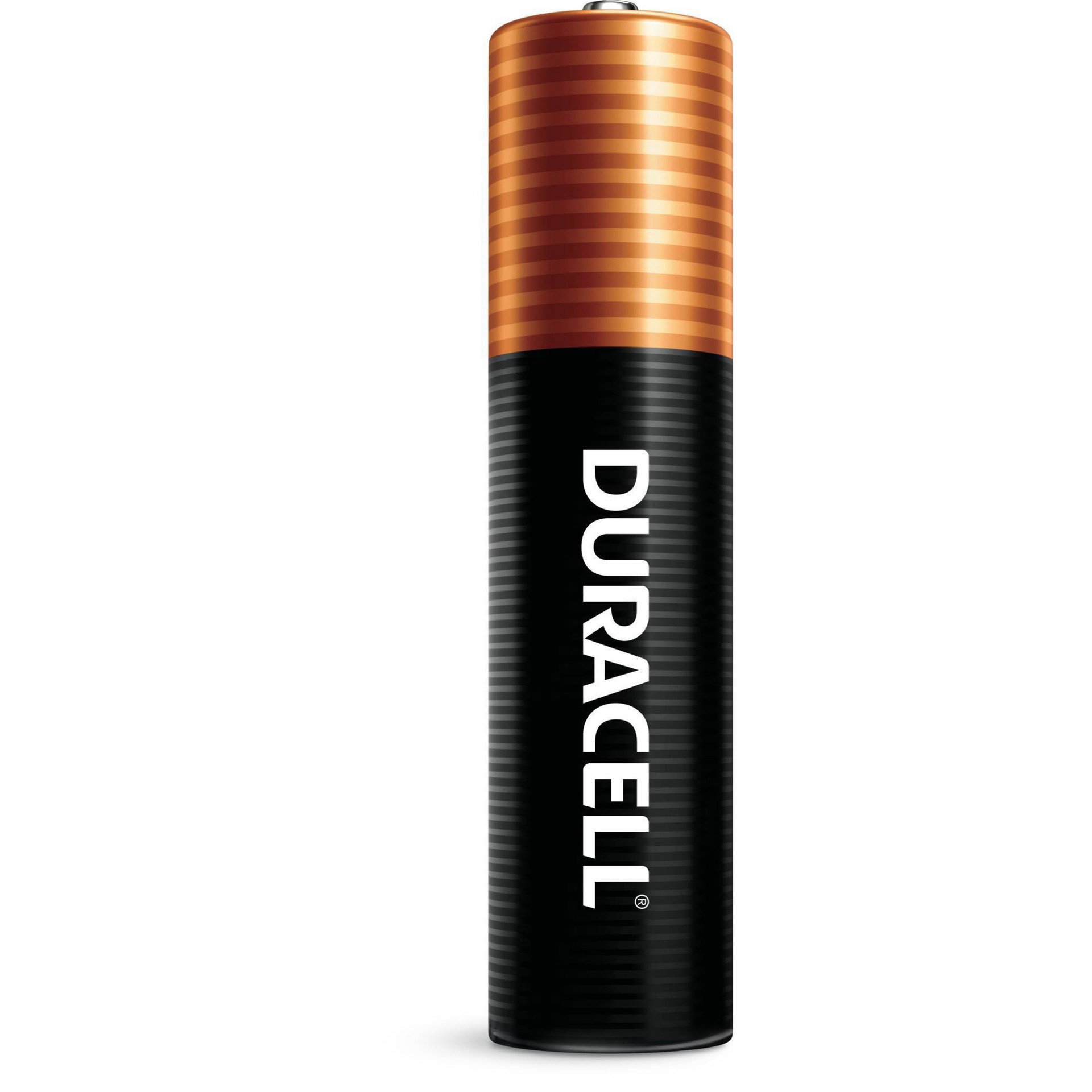 slide 6 of 17, Duracell Coppertop AAA Alkaline Batteries, 10/Pack, 10 ct