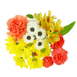 The Queens Flowers Tiny Treasures Bunch, 1 ct