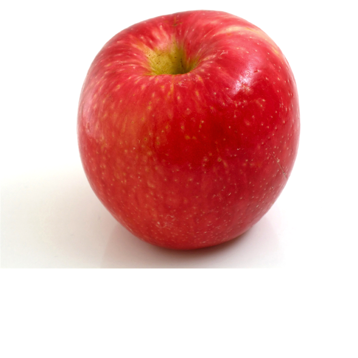 slide 1 of 1, Apples Honeycrisp Org, 1 ct