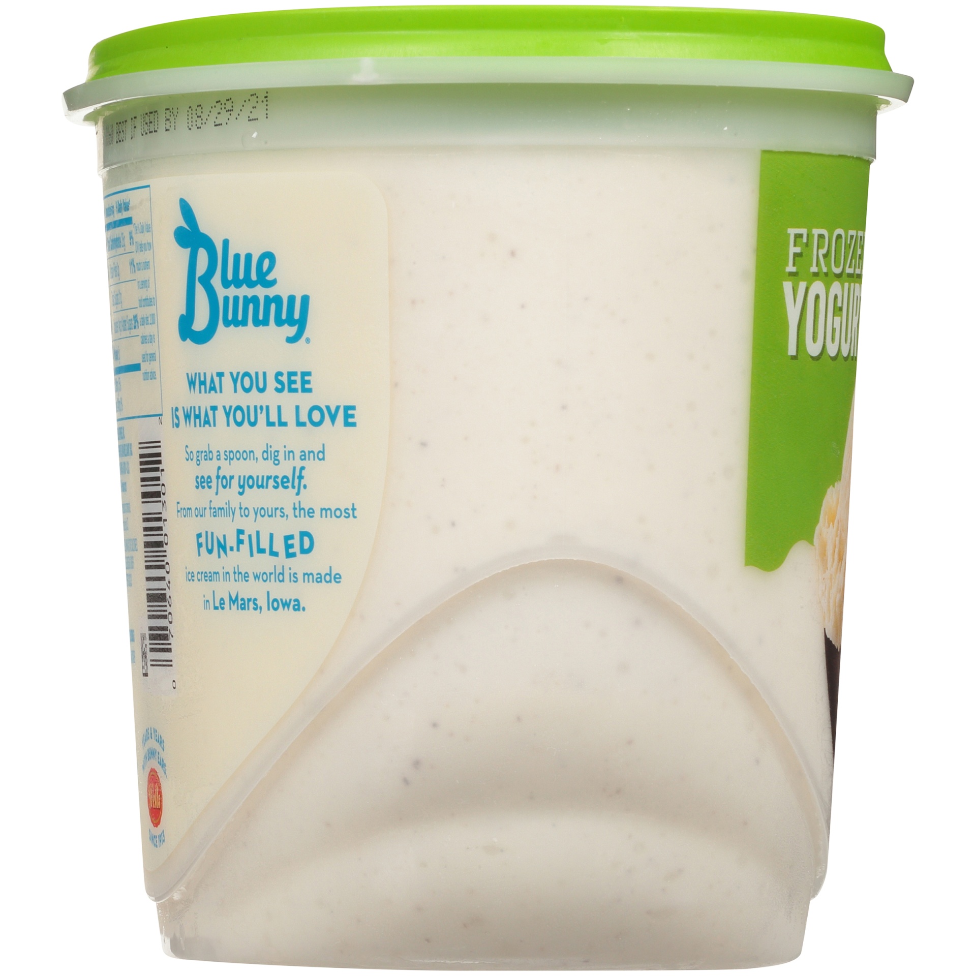 Vanilla Bean Frozen Yogurt 48 oz Shipt