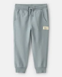Carters Toddler Boy French Terry Joggers - Green Grey 4T