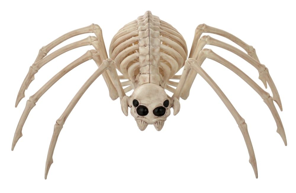 slide 1 of 1, Holiday Home Spider Skeleton - Cream, 8 in