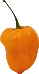 Fresh Habanero Peppers