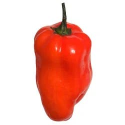 Fresh Habanero Peppers