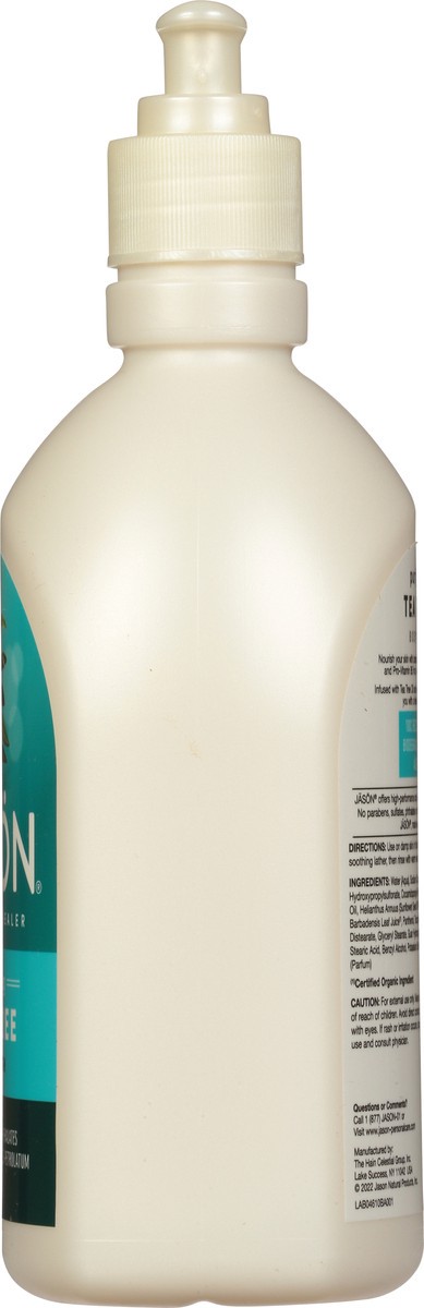 slide 5 of 9, Jason Purifying Tea Tree Body Wash 16 fl oz, 16 oz