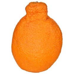 Sumo Oranges