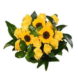 Bloom Haus 12 Plus Rose Bouquet - Yellow