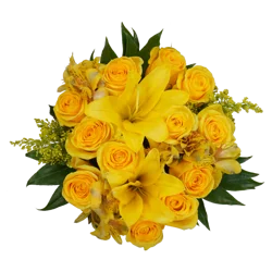 Bloom Haus 12 Plus Rose Bouquet - Yellow