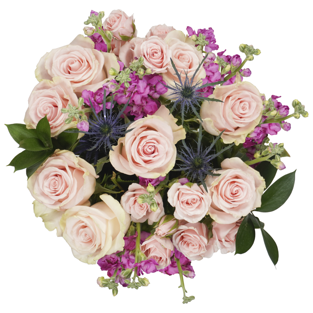 slide 1 of 1, Bloom Haus Classic Rose Bouquet - Pink, 15 ct