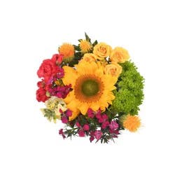 Bloom Haus Flowers Ruffle Bouquet - Orange / Yellow / Pink