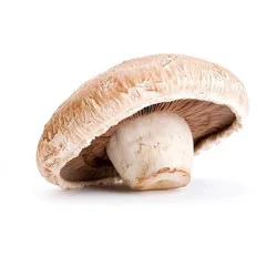 Portabella Mushrooms