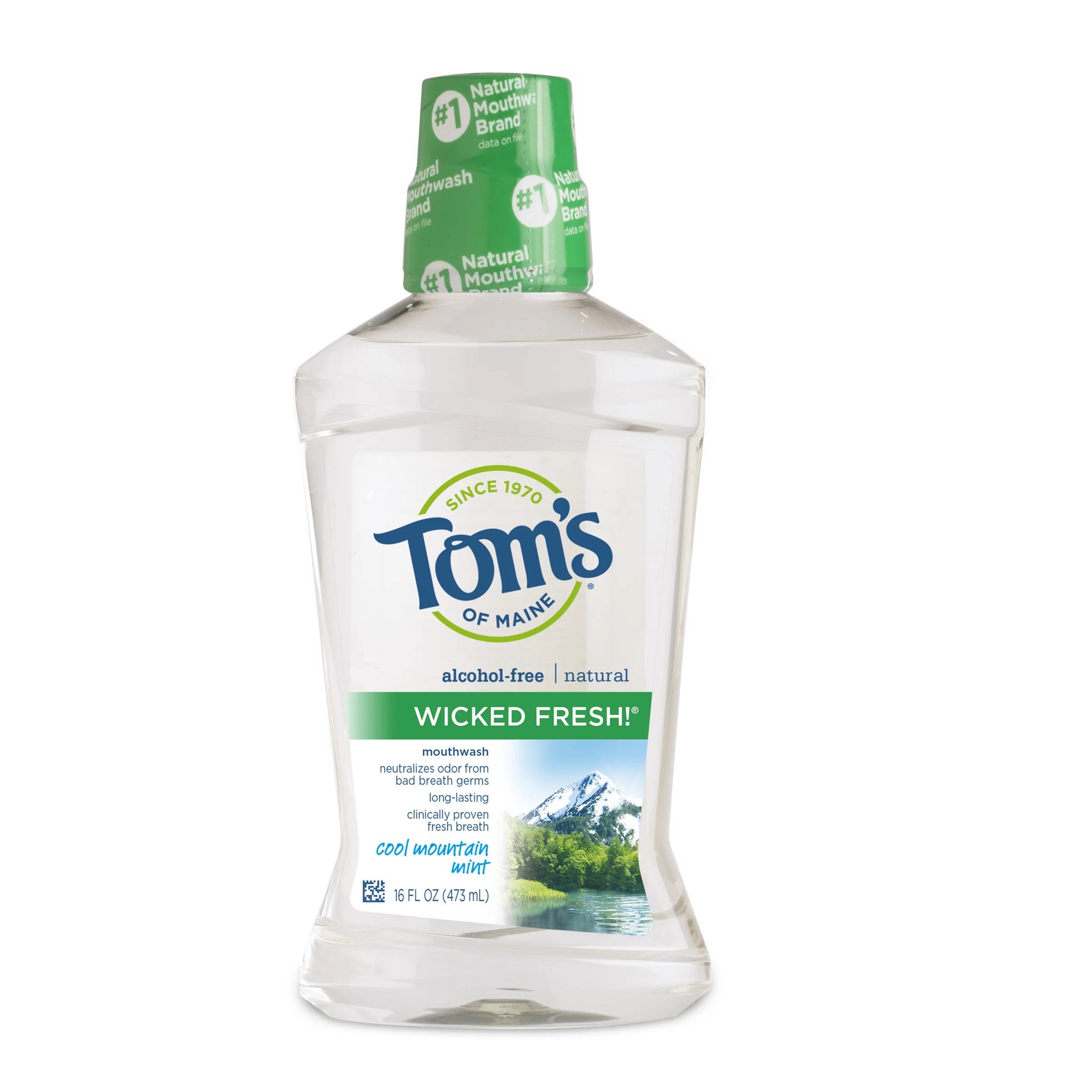 slide 1 of 3, Tom's of Maine Tom's Of Maine Wicked Fresh Mint Mouthwash, 16 oz