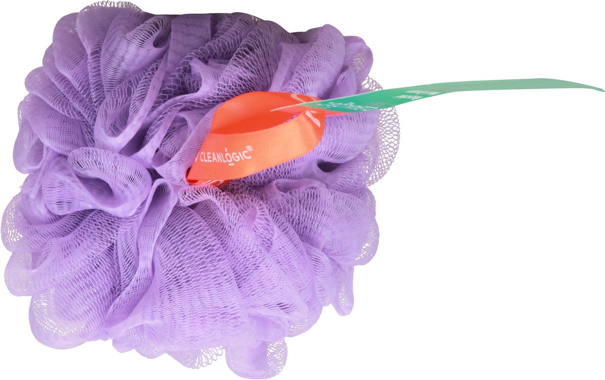 slide 3 of 12, cleanlogic Recycled Mesh Sponge 1 ea, 1 ct