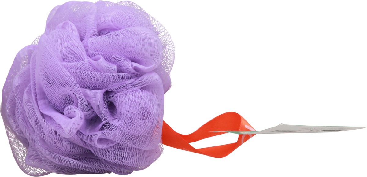 slide 12 of 12, cleanlogic Recycled Mesh Sponge 1 ea, 1 ct