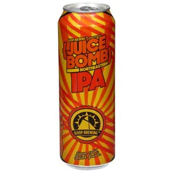 Sloop Brewing Northeastern IPA Beer 19.2 fl oz