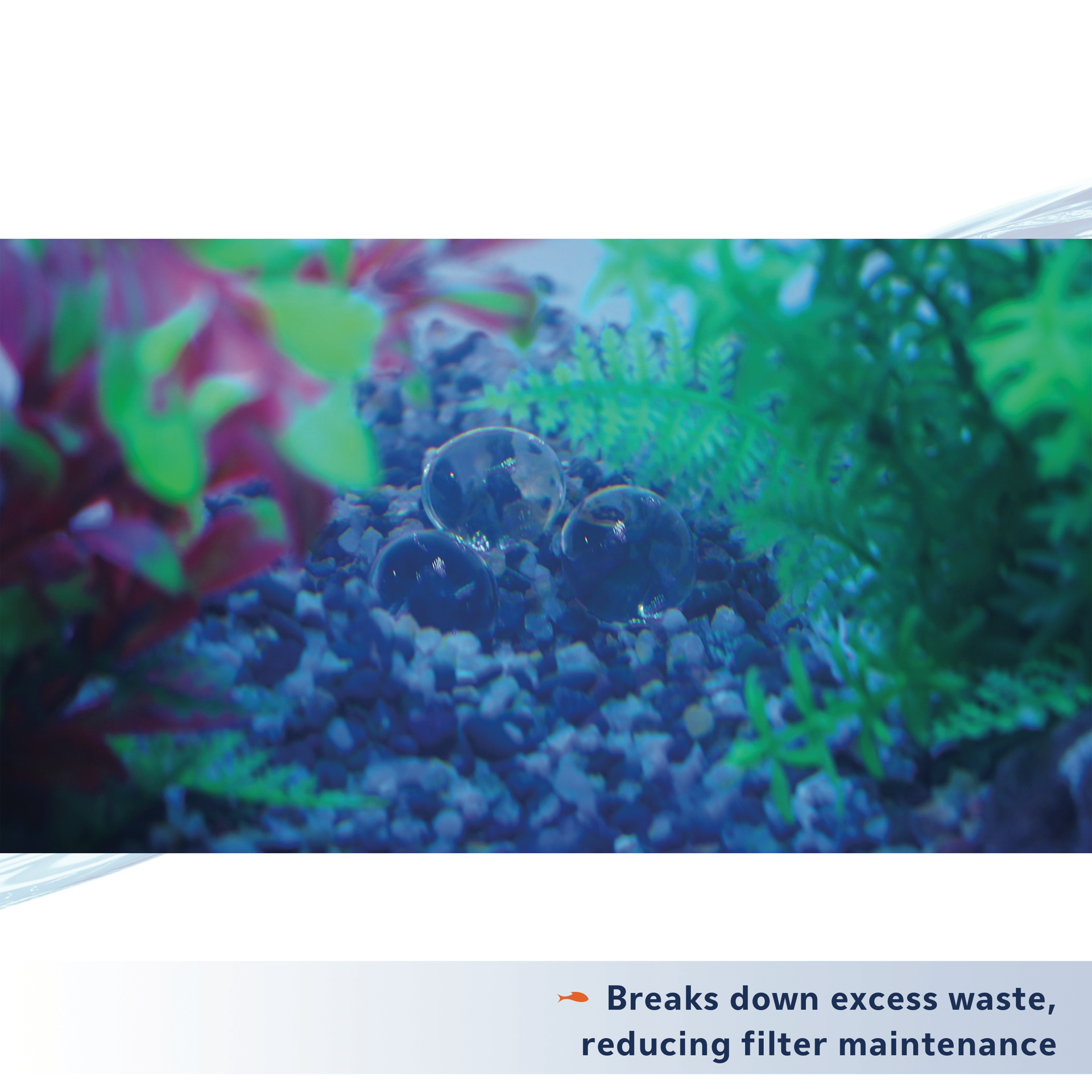 slide 5 of 10, Aqueon PURE Bacteria Supplement, 8 Pack, 30 Gallon, 8 ct