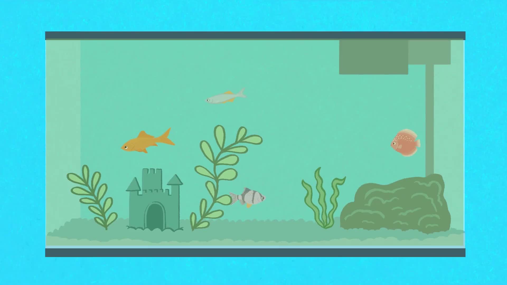 slide 8 of 10, Aqueon PURE Bacteria Supplement, 8 Pack, 30 Gallon, 8 ct