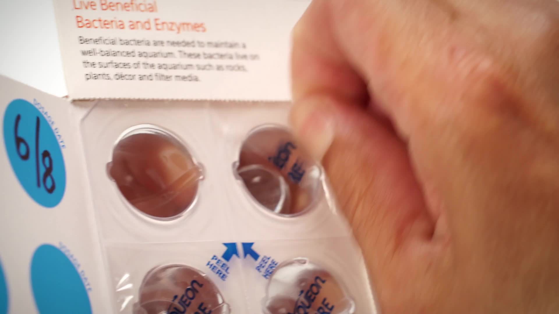 slide 4 of 10, Aqueon PURE Bacteria Supplement, 8 Pack, 30 Gallon, 8 ct