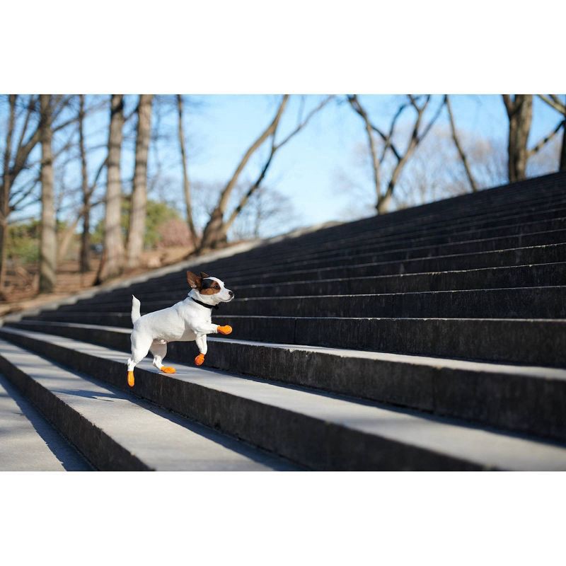 slide 9 of 9, Pawz Rubber Dog Boots, X-Small, XS