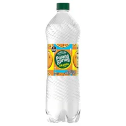 Poland Spring Sparkling Water, Orange- 33.8 oz