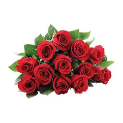 Rose's Red Roses