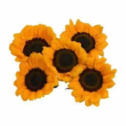 Sunflower Fresh Flower Bunch, 1 ct