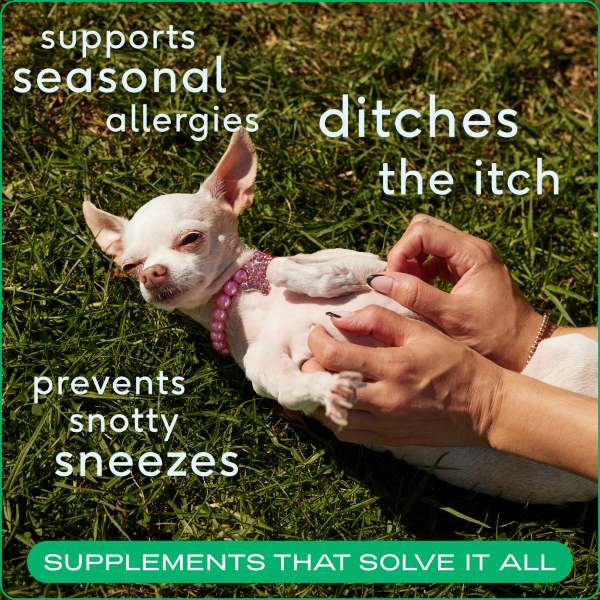slide 13 of 25, Native Pet Allergy & Immune Chews Allergy & Itch Relief Supplement for Dogs, 30ct, 30 ct