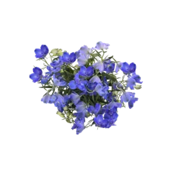 Delphinium Fresh Flower Bunch, 1 ct