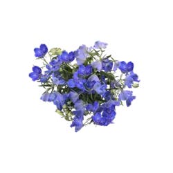 Delphinium Fresh Flower Bunch, 1 ct