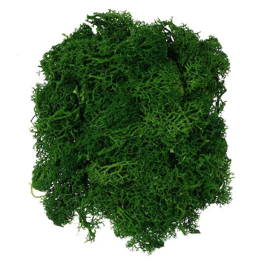 slide 1 of 2, 1.7oz. Moss By Ashland, 1.7 oz